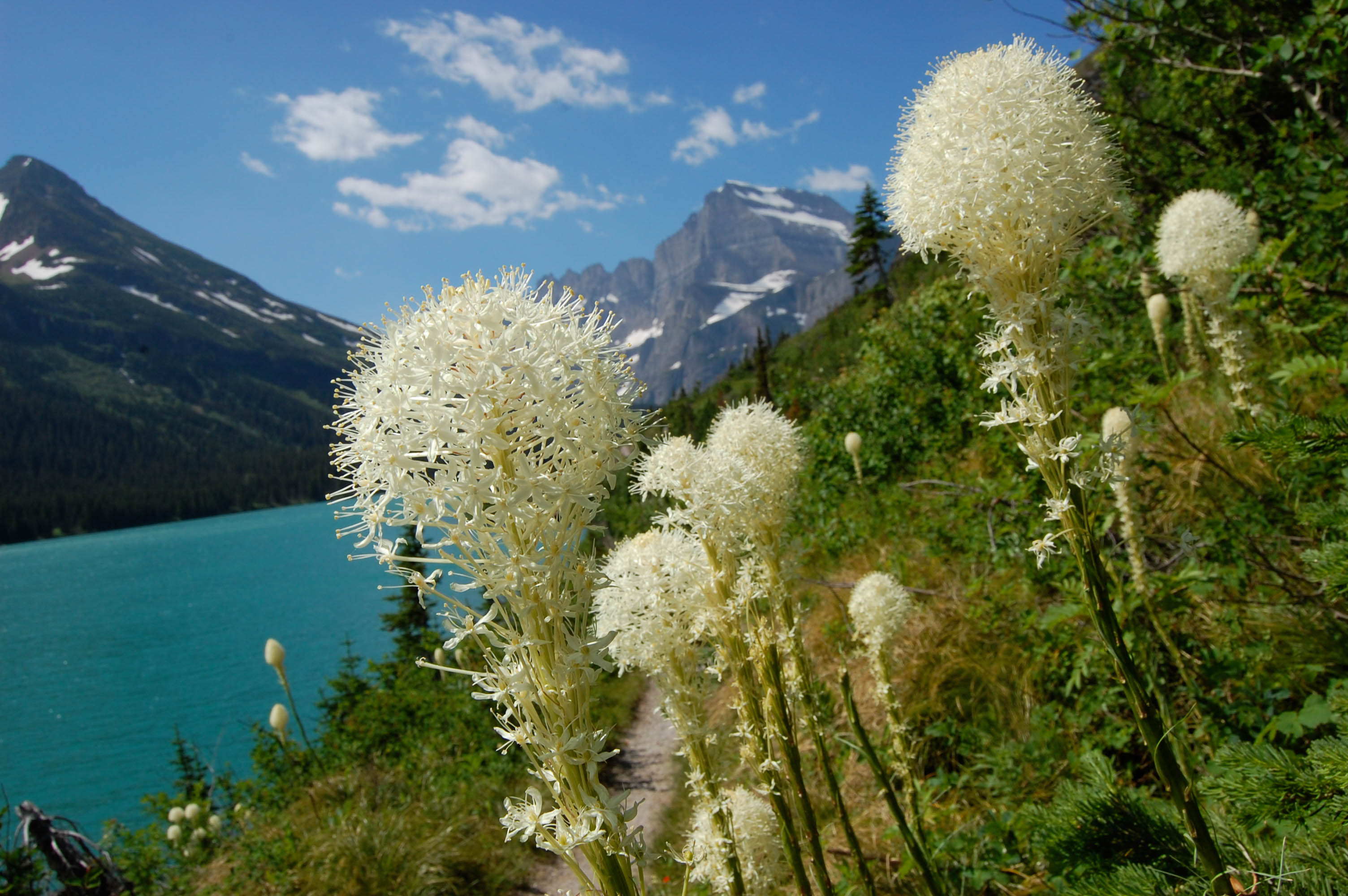 Many Glacier